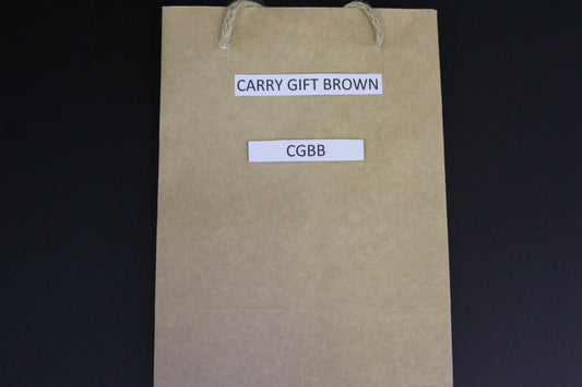 BAGS- CARRY GIFT BAG(EACH)