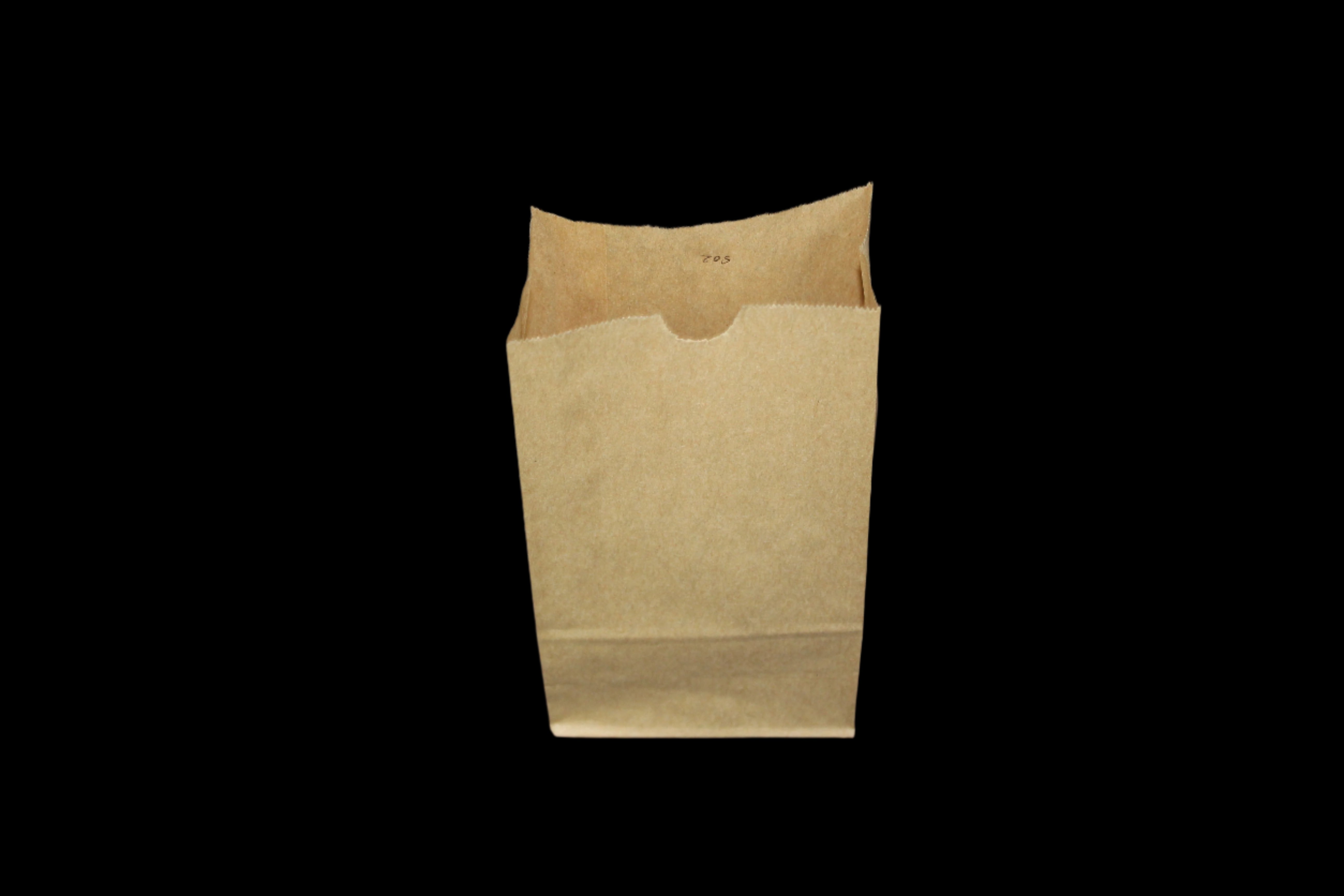 BROWN  BAG SO2 (100X60X195)(500)